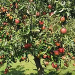 Urlaub Fuer Seele - Mit Sauna By Interhome בית נופש