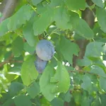 Urlaub Fuer Seele - Mit Sauna By Interhome בית נופש