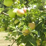 Urlaub Fuer Seele - Mit Sauna By Interhome * Rucmanci