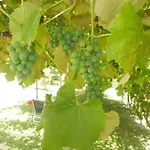 Urlaub Fuer Seele - Mit Sauna By Interhome Rucmanci