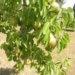 Urlaub Fuer Seele - Mit Sauna By Interhome Rucmanci