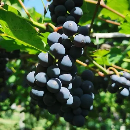 Urlaub Fuer Seele - Mit Sauna By Interhome Дом отдыха *