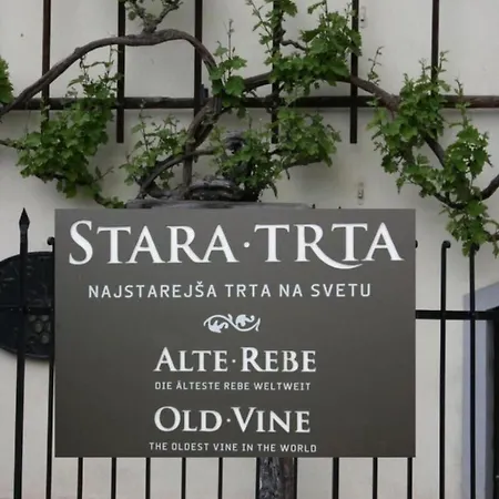 بيت للعطل Urlaub Fuer Seele - Mit Sauna By Interhome