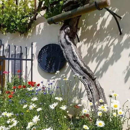 بيت للعطل Urlaub Fuer Seele - Mit Sauna By Interhome Rucmanci