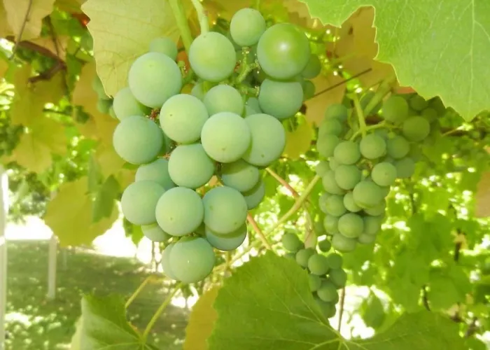 بيت للعطل Urlaub Fuer Seele - Mit Sauna By Interhome *