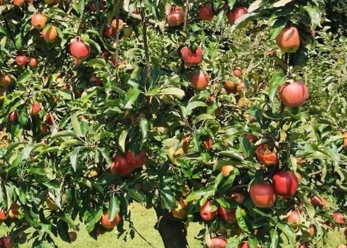 Urlaub Fuer Seele - Mit Sauna By Interhome Дом отдыха