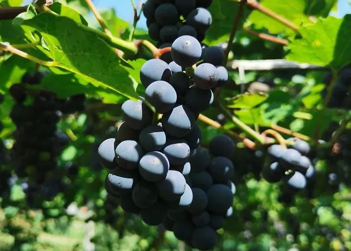 Urlaub Fuer Seele - Mit Sauna By Interhome Дом отдыха *