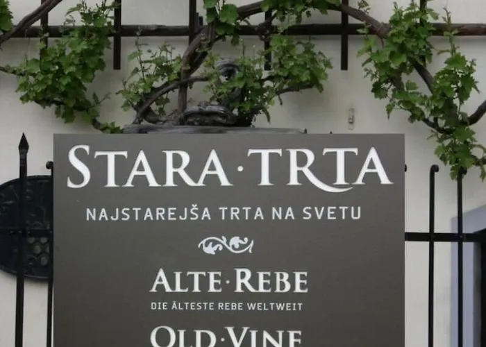 بيت للعطل Urlaub Fuer Seele - Mit Sauna By Interhome