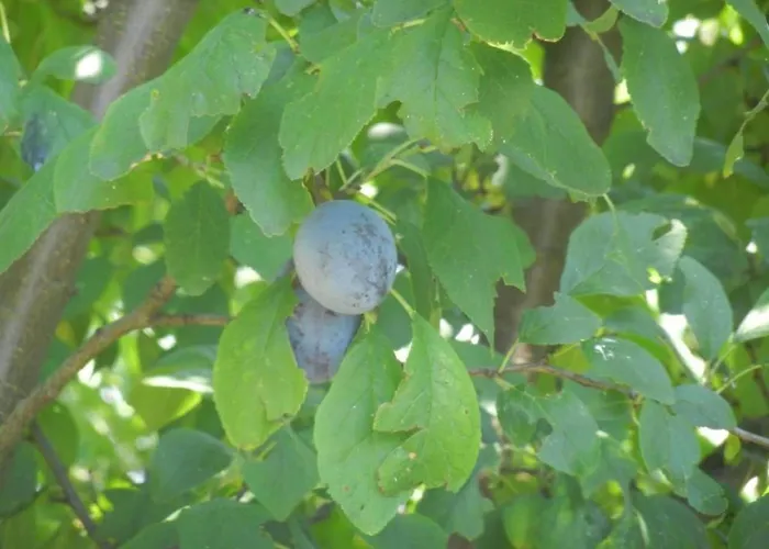 Urlaub Fuer Seele - Mit Sauna By Interhome Дом отдыха