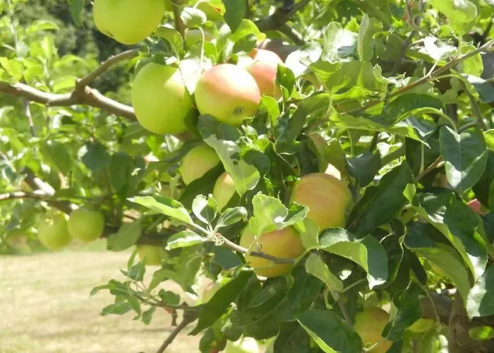 Urlaub Fuer Seele - Mit Sauna By Interhome * Rucmanci