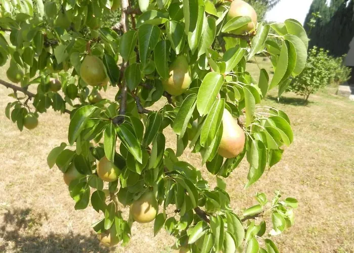 Urlaub Fuer Seele - Mit Sauna By Interhome Rucmanci